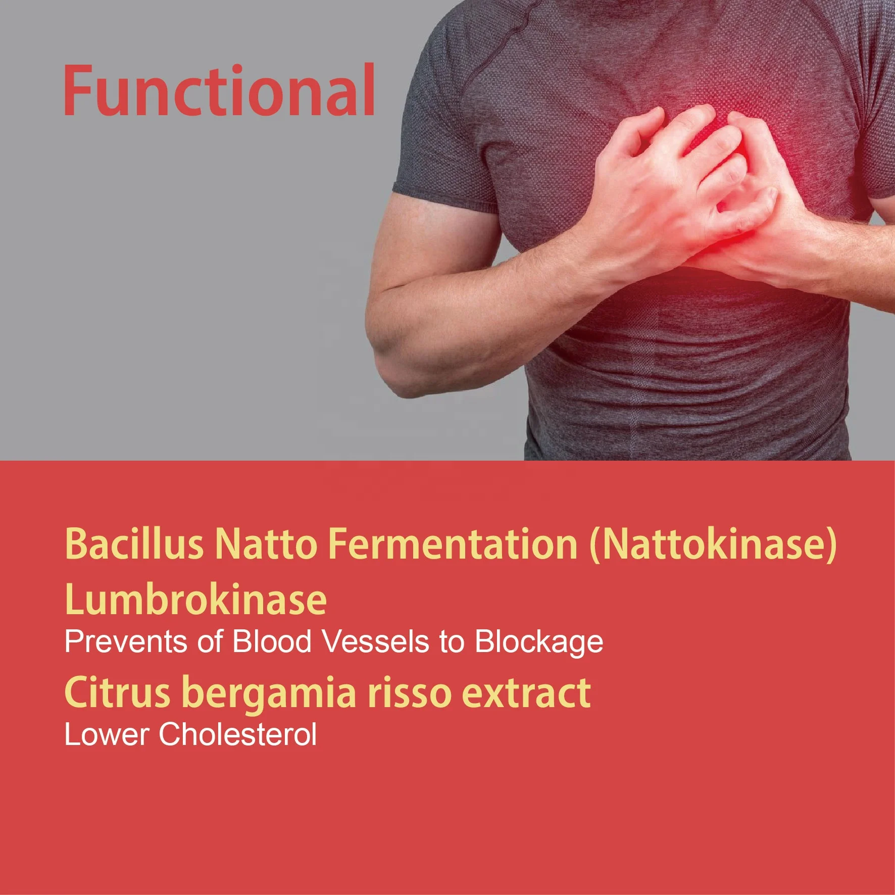 OEM ODM Private label Cardiovascular healthcare Natto fermentation Capsules