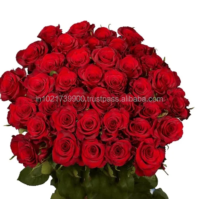 Wholesale Floral Foam Blocks Floral Dry Foam Fresh Cut Flower Mud Green White Wedding Decor OEM Gray Mother Pcs Color Plants Day