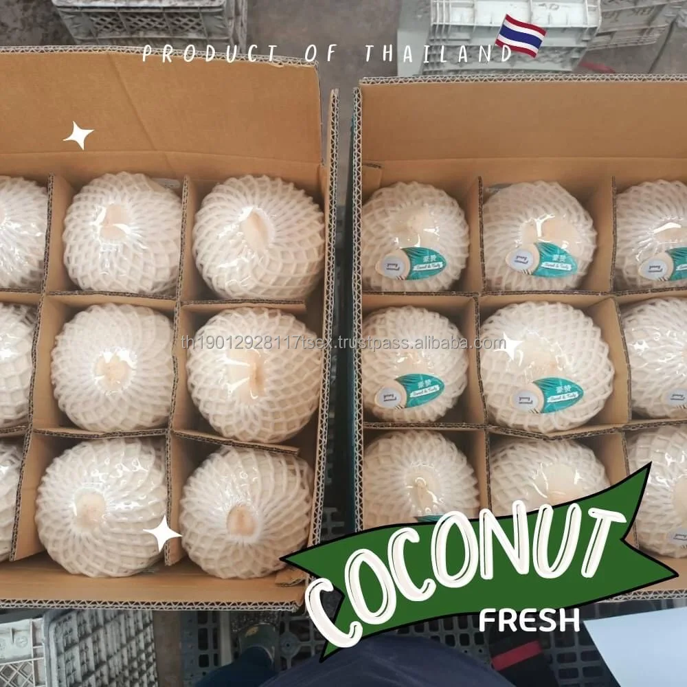fresh Coconut fresh young coconut thailand coconut bowl