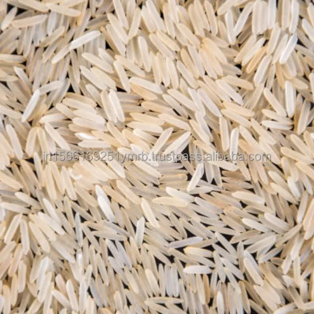 High on Demand Long Grain 1121 White Sella Basmati Rice for Cooking use Available at Custom Packaging from India