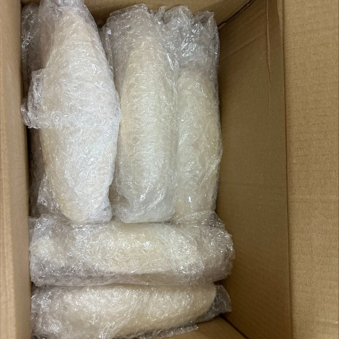 CUTTLEFISH BONE SMALL 100% NATURAL AND BEST QUALITY FROM VIETNAM FOR EXPORT/BEST PRICE FOR SALE IN HOANGLINH SG Kimy+84938616690