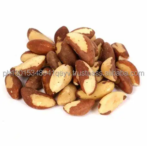 brazil nut.jpg