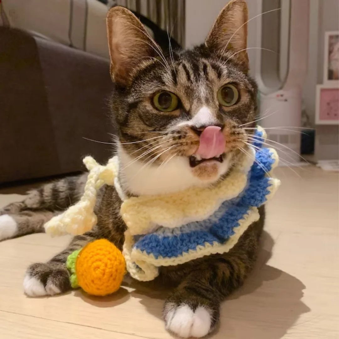 Handmade Crochet Knitted Collar for Cat Dog Pets  Necklace for Animals   from Viet Nam HOANG LINH SG Kimy +84938616690