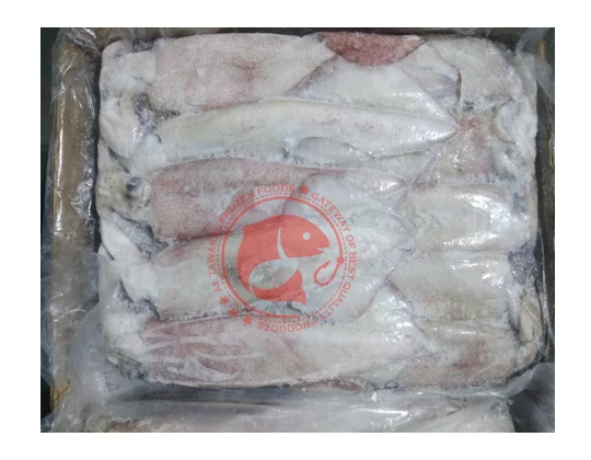 Whole Frozen Loligo Squid in Bulk Pakistani Origin Frozen Loligo Squid High Quality Whole Loligo Squid