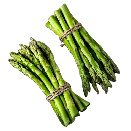 Best Price Freshly Harvested Asparagus - 100% Natural From Vietnam With Selected Quality  Ready In Stock