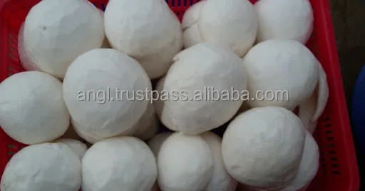 FRESH YOUNG COCONUT DIAMOND SHAPE HIGH QUALITY BEST PRICE FROM VIKAFOODS (WhatsApp/Wechat: + 84 983 028 718)