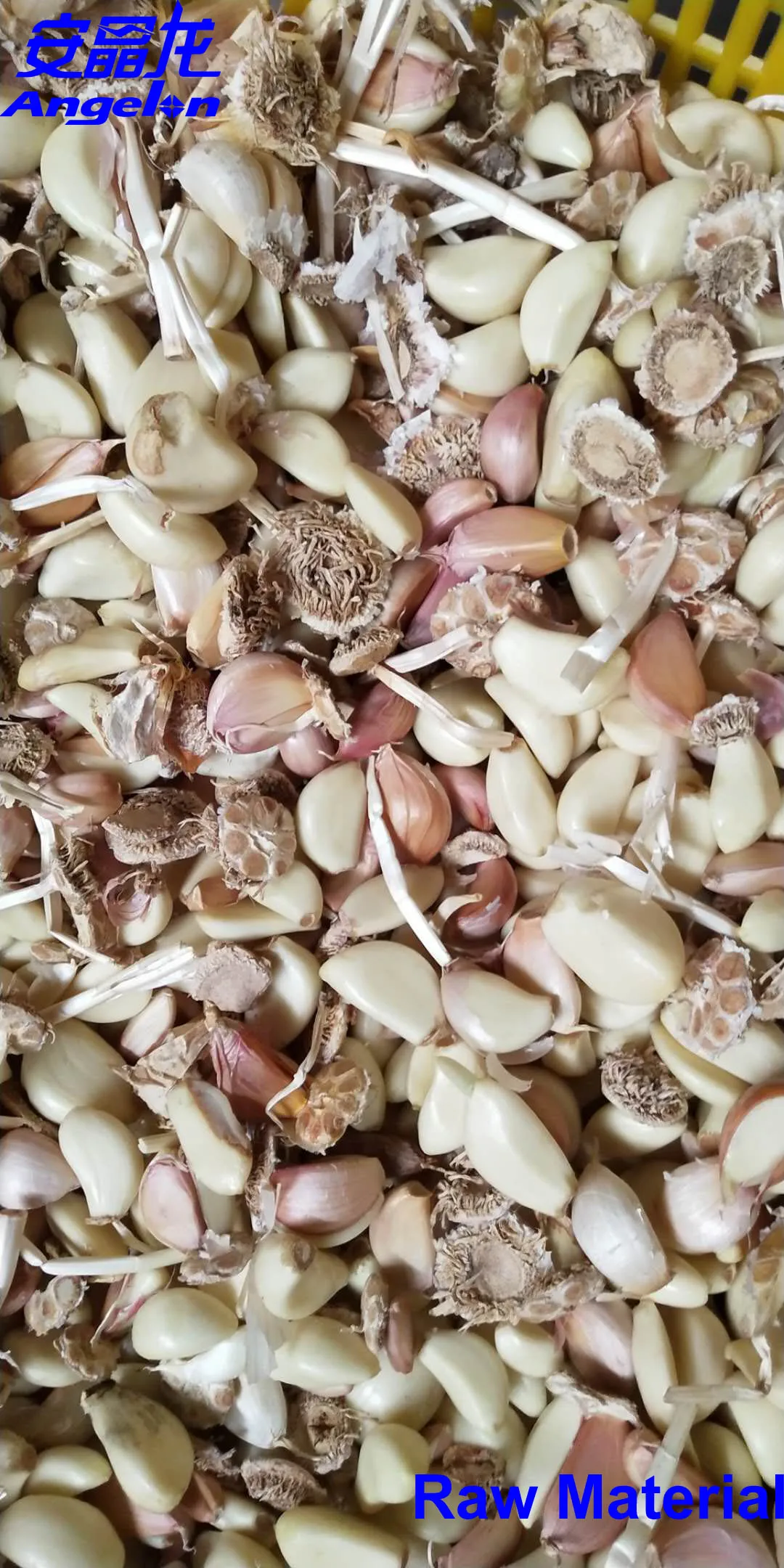 2021 new style colour sorter with garlic products sorting