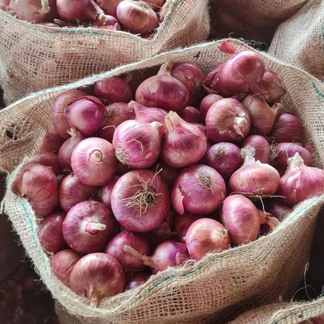 Лидер продаж, свежий лук высокого качества, новый урожай красного лука по оптовой цене из Индии
