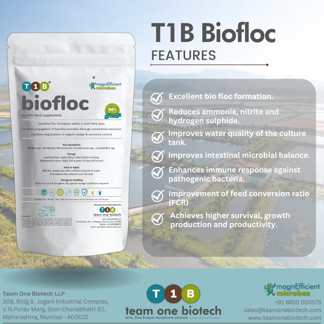 Aqua Probiotics for Clearer Biofloc Farming Water