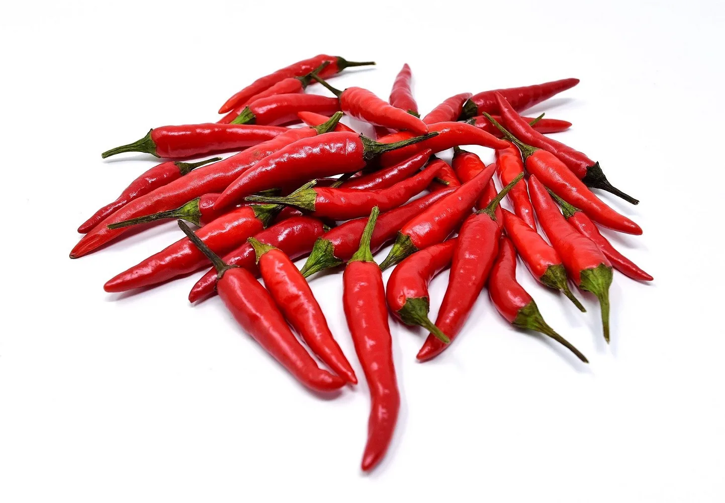 Fresh High Quality Good Price Low MOQ Custom Logo Package Red Chili From Vietnam