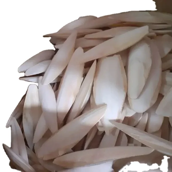 VIETDELTA Organic Whole Cuttlefish Bones High Quality Dried and Frozen with Vitamins Best Price from Vietnam