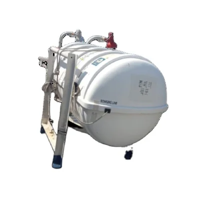 Ready to Export Wholesale 100 Persons Capacity Inflatable Life Raft Good Condition at Cheap Price