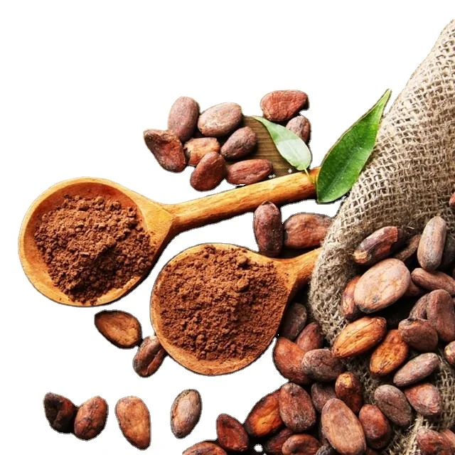 Wholesale Bulk Price Cocoa Essential Absolute Oil With High Quality
