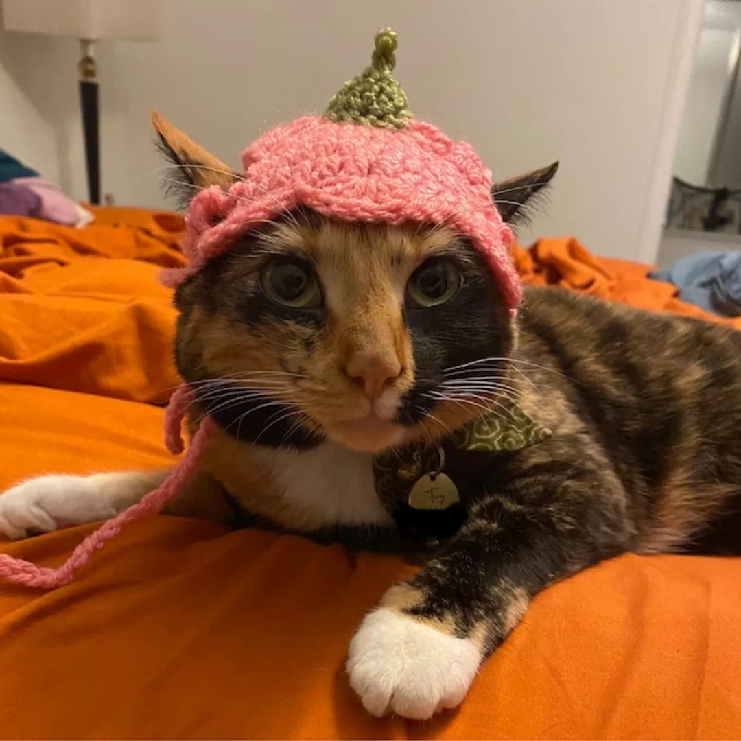 Pet Christmas Hat Cat Dog Cute Head Costume Dog Cartoon Hat  made in Viet Nam HOANG LINH SG Kimy +84938616690