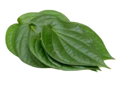 Свежие листья Betel из дерева 10 шт.