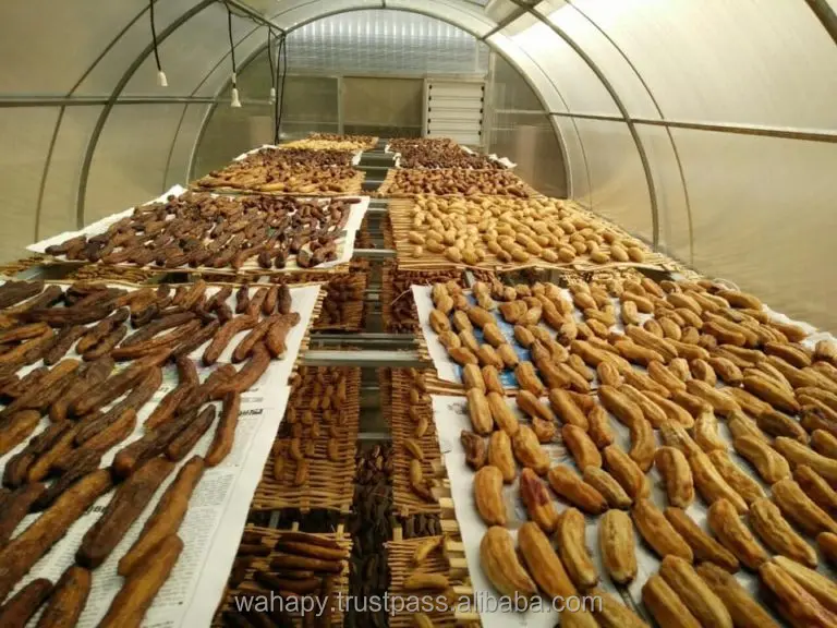 Freezes Dried Fruit Tea	Less Sweetened	Solar Dried Banana	from FRUITBUYS VIETNAM