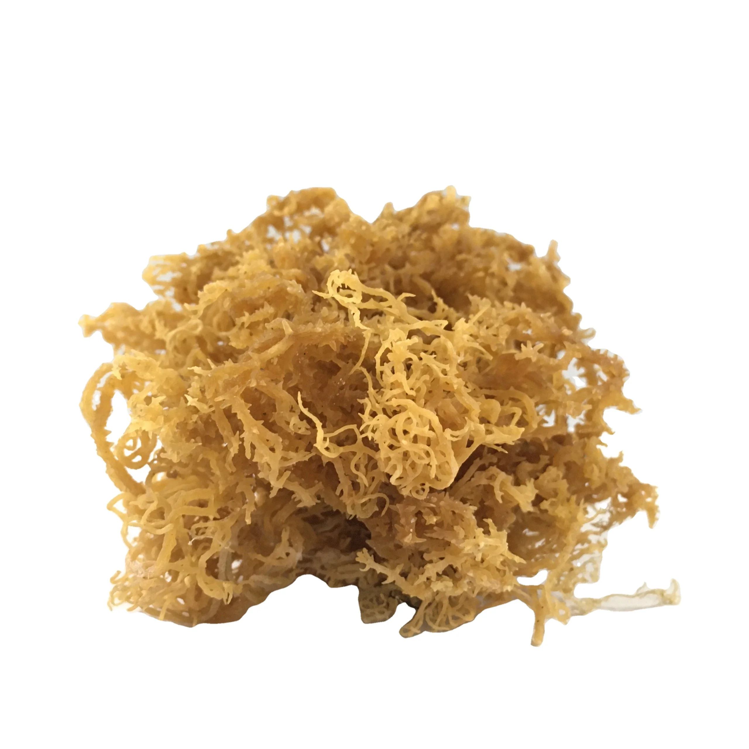 PREMIUM QUALITY FOOD-GRADE CARRAGEENAN POWDER from SEA MOSS  FOR THICKENING AND STABILIZING- IN VIETNAM