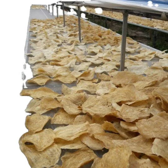 Сухой рыбной пузырь Вьетнама