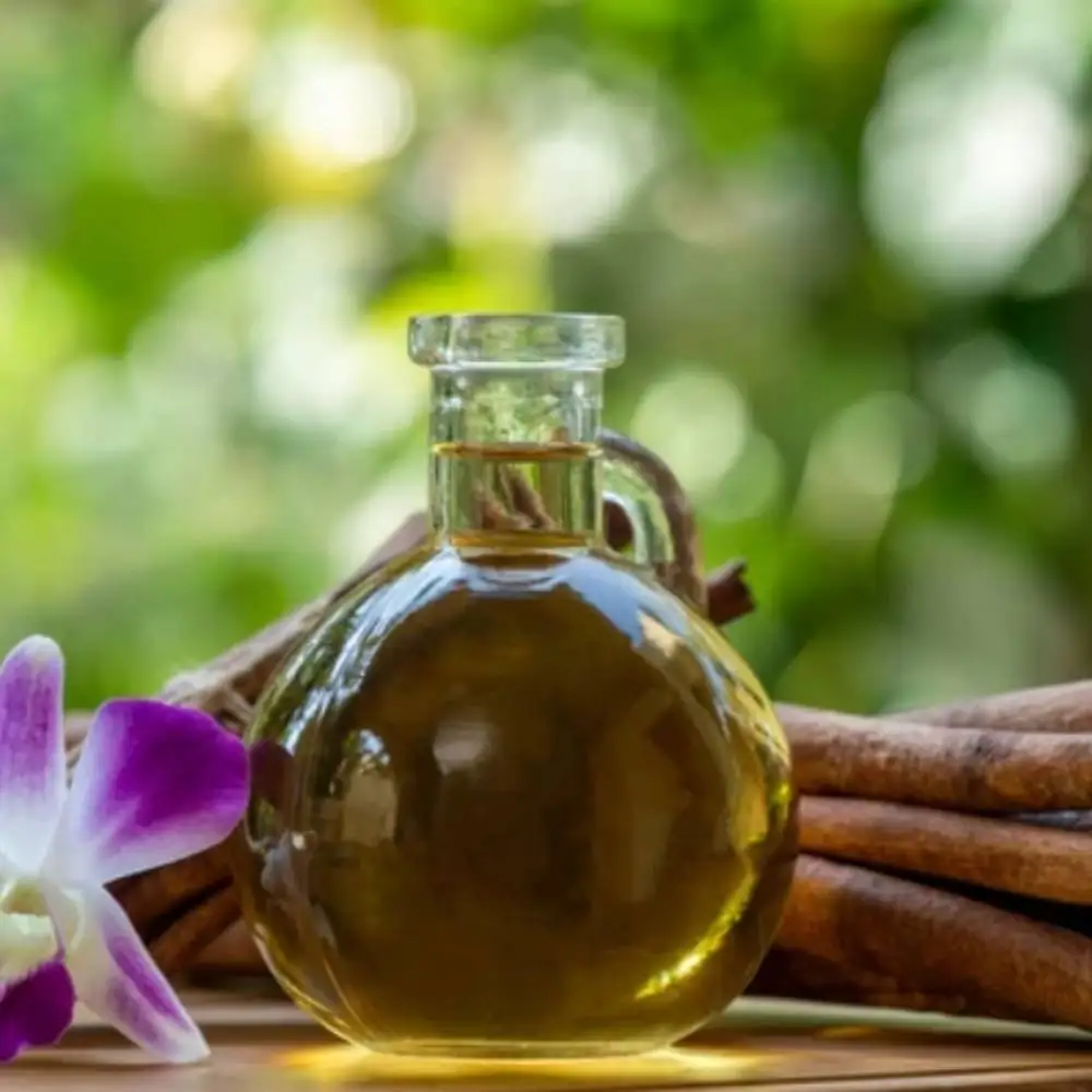 Заводская поставка Cassia Oil оптом производитель эфирных масел использует ароматерапию кулинарию. Вопрос кожи и мышц чистый