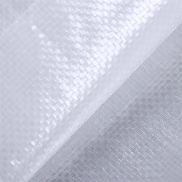 In Stock Transparent 5Kg 25Kg Woven PP Bag For Rice Flour