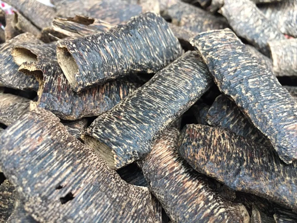 Natural Premium Organic Agarwood Chips Super Grade Aloeswood Eaglewood Gharuwood Chunks  Oudh Incense Fragrance Sweet Full Oil