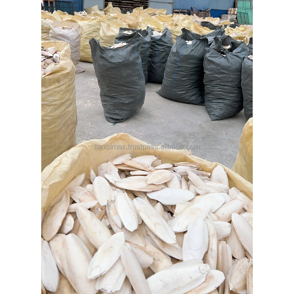 PREMIUM BULK SUPPLY: DRIED CUTTLEFISH BONE FOR PET NUTRITION!