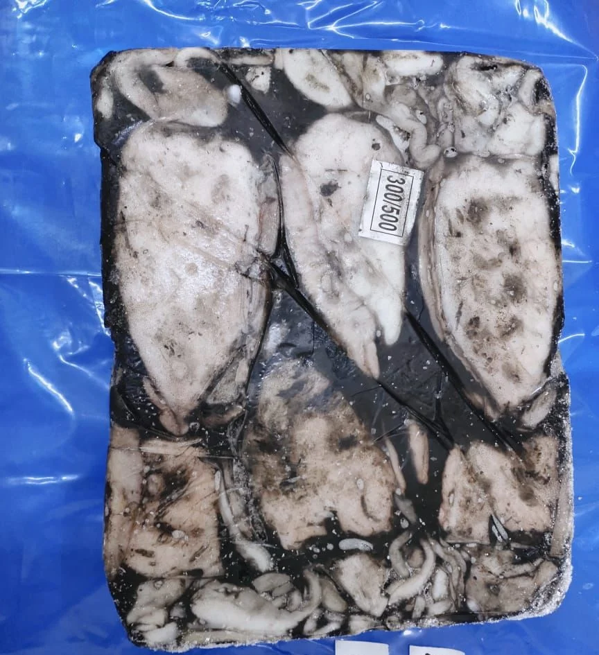 FROZEN WHOLE CUTTLEFISH