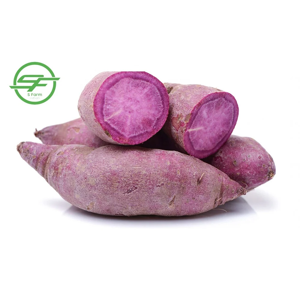  Хорошая цена фиолетовый сладкий картофель (Whatsapp/zalo/wechat: + 84 912 964 858)