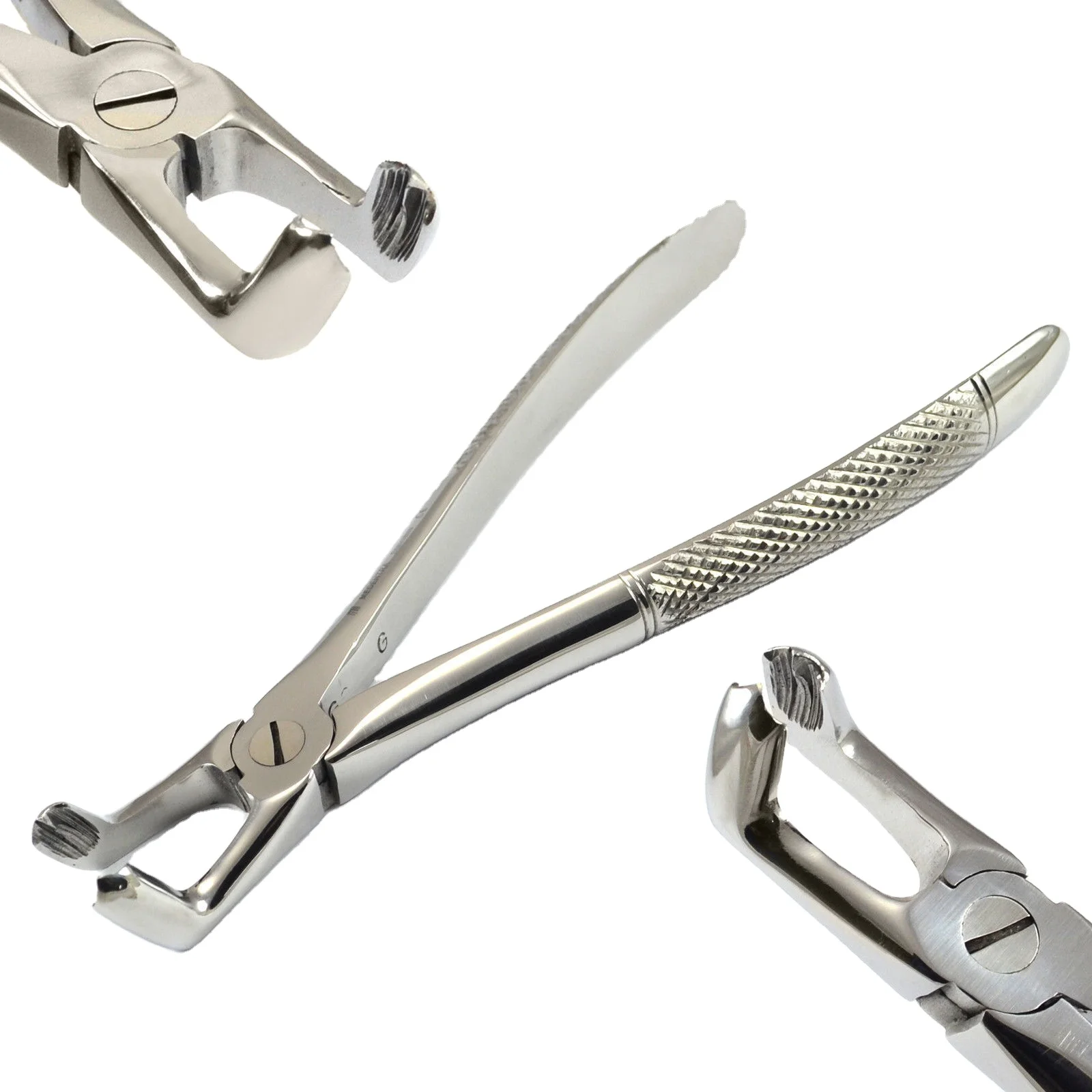 Dental extracting forceps