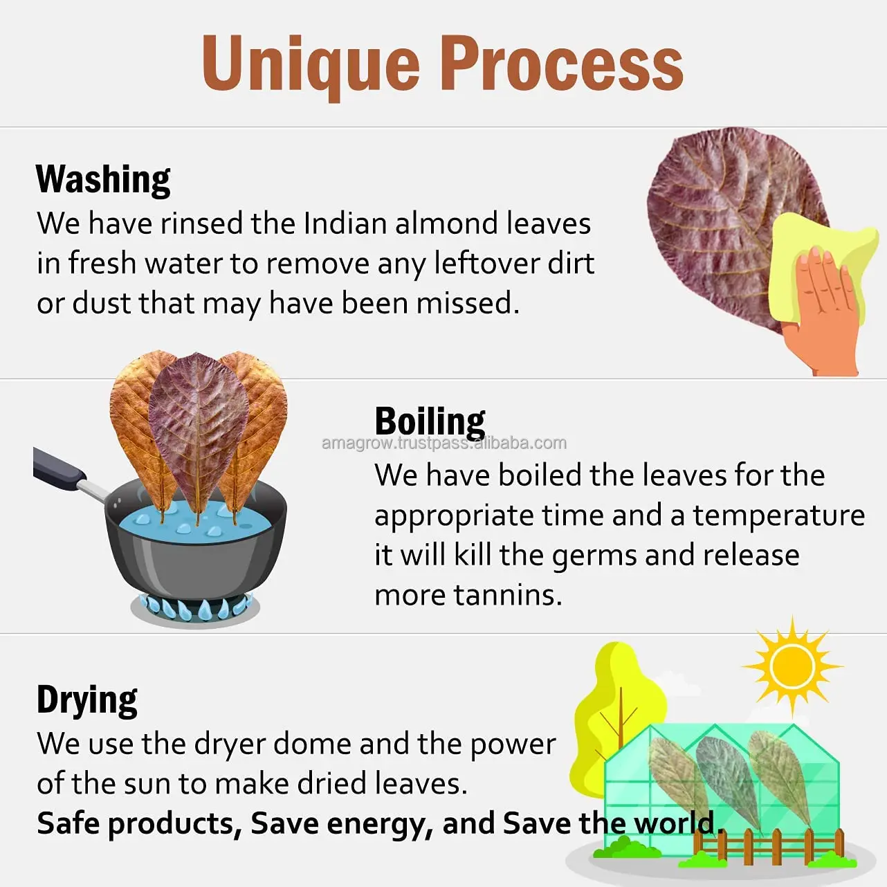 1 BOX 200 BAGS x 50G. MATCHIMAA - 100% Premium Dried Indian Almond Leaves  Aquarium Accessories Betta Fish & Shrimp Leaf Tank