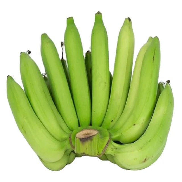 Naturally fresh High quality  Cavendish Banana Exporters / Traders from India  to Karaj Fiji Kuwait Yazd Malawi Tokyo