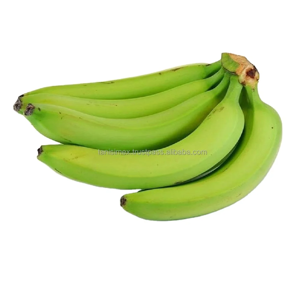 FROM VIETNAM TO YOU: PREMIUM CAVENDISH BANANAS READY FOR GLOBAL EXPORT - WHOLESALE