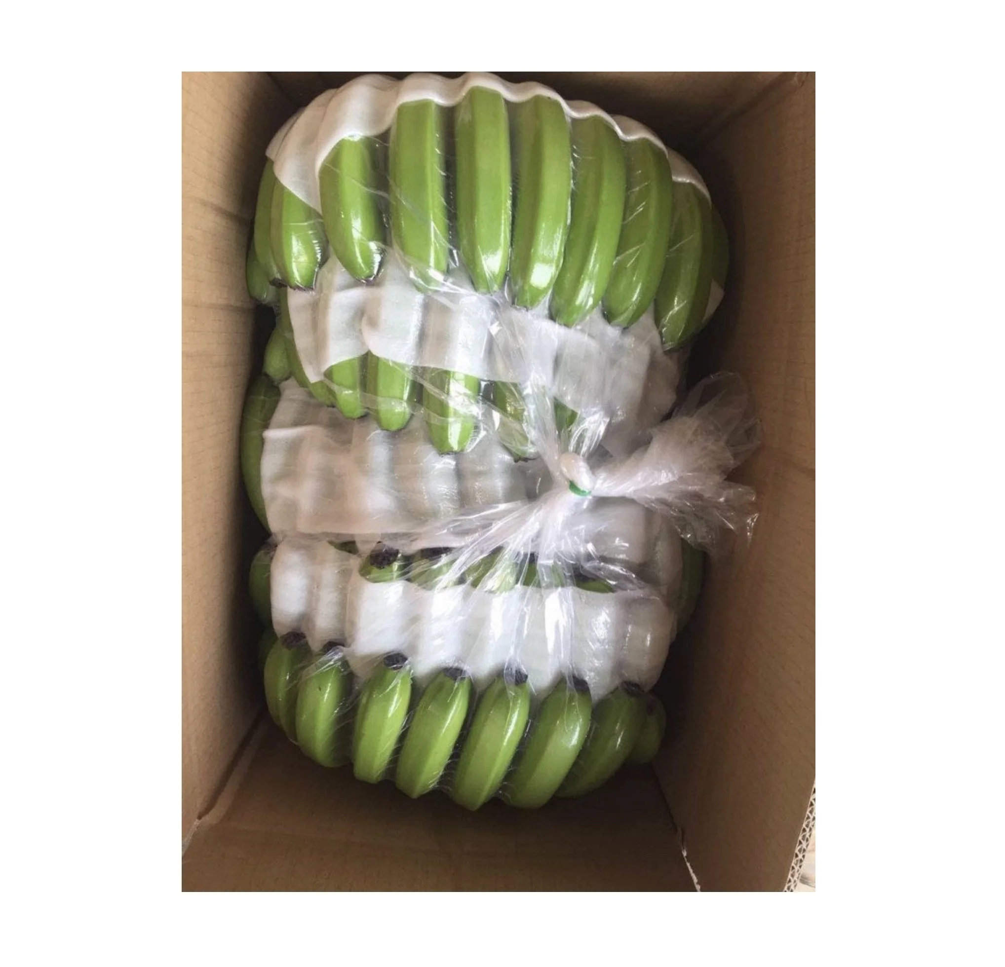 Vietnamese Green Cavendish Banana / Fresh bananas fruit vegetables/ Agriculture from Vietnam
