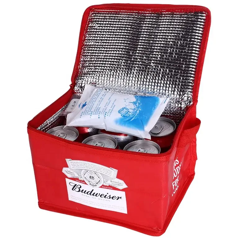 Colorful Customize Design Insulated PP Non Woven Outdoor Food Delivery Cooler Bag with Zipper Waterproof High Quality