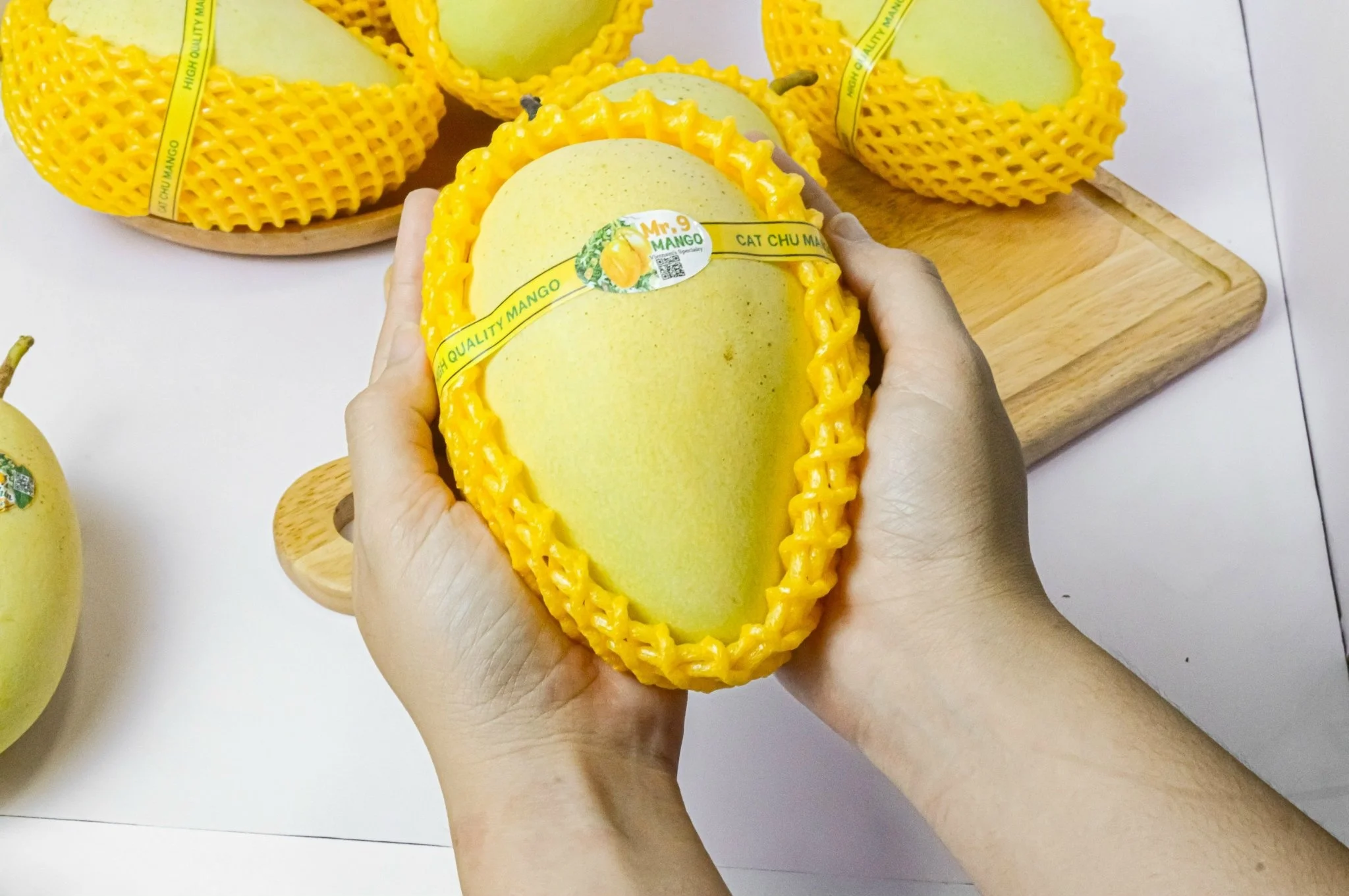 [ Hot Deal ] Vietnamese Cat Chu Mango Good for Healthy Export Purchase Carton Packaging Vietnam Trading Fresh Mangos