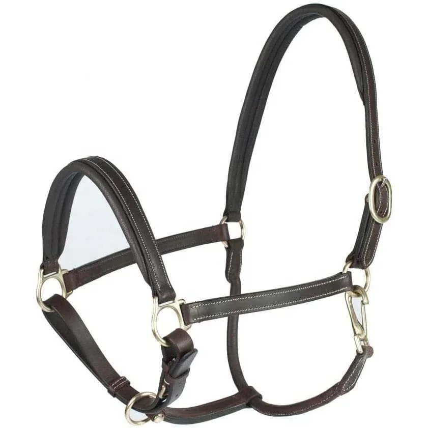 Indian Handmade Horse Leather Halter Headcollar Fancy White Thread Stitched Raised Noseband Softy Padded in Black Brown Havana