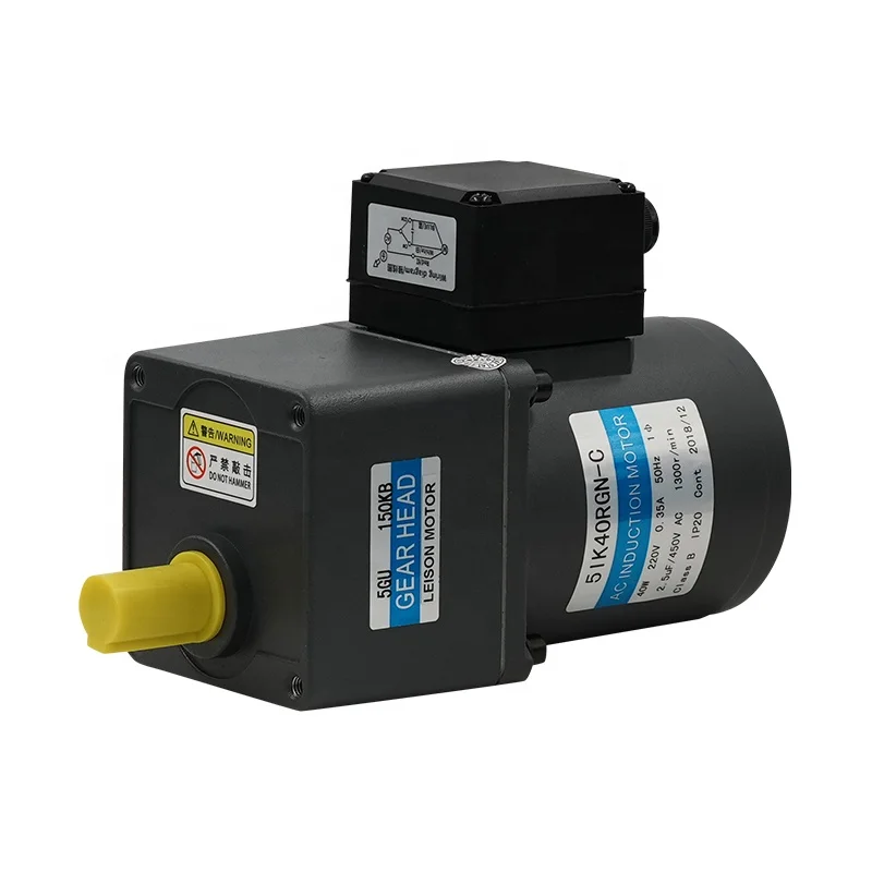 40W 110 Volt AC Gear Motor Single Phase 220V Electric Motor China Manufacturer with Speed Controller IP65