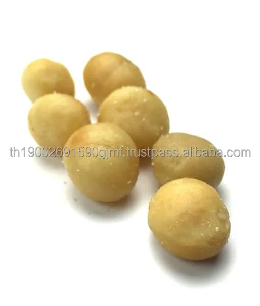 Salted-Macadamias-510x600.jpg