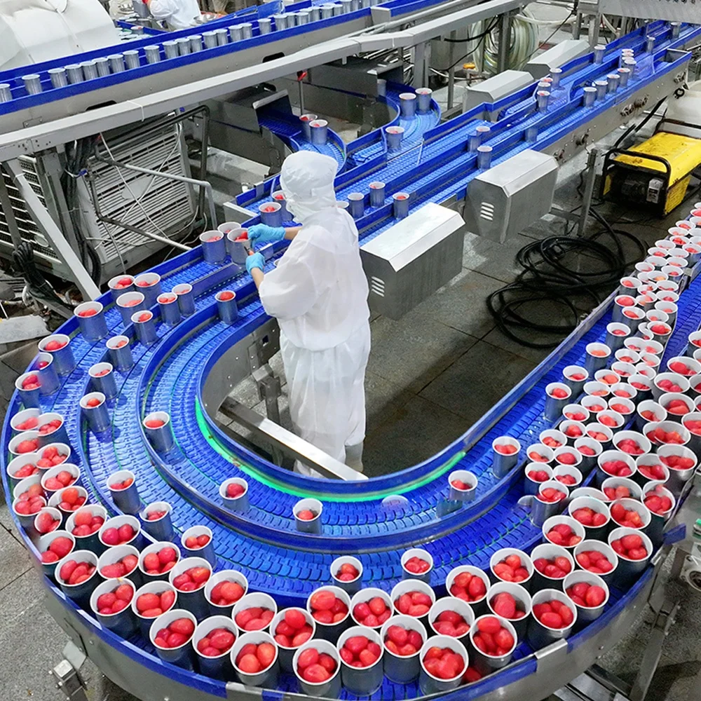 Halal Tomato Paste Canned Food 28-30% Brix Easy Open Tin Tomato Paste For Halal African Muslim Food Cooking