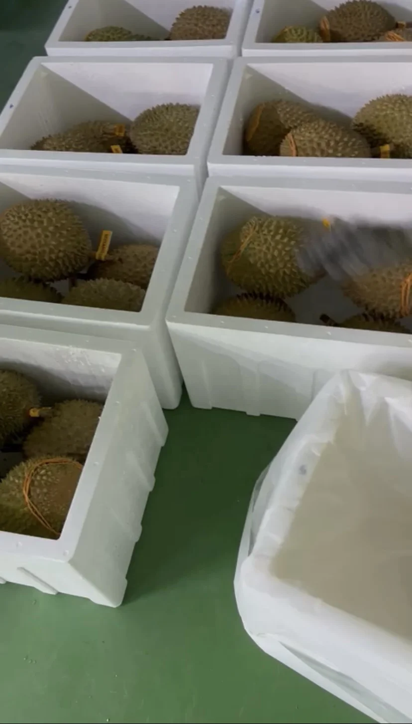 Малазийский дуриан Musang King D197 Pahang Raub, свежий дуриан король фруктов, тропические фрукты Дуриан