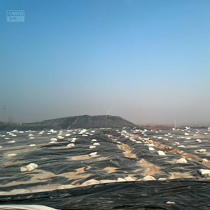 0.5mm HDPE Geomembrane Liners 100% New Resin for Fish Ponds
