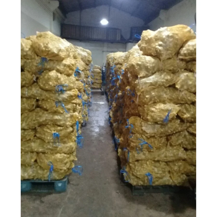 [Лидер продаж 2022] Высокое качество оптовая продажа хорошая цена органический свежий молодой имбирь полезный для здоровья из Вьетнама