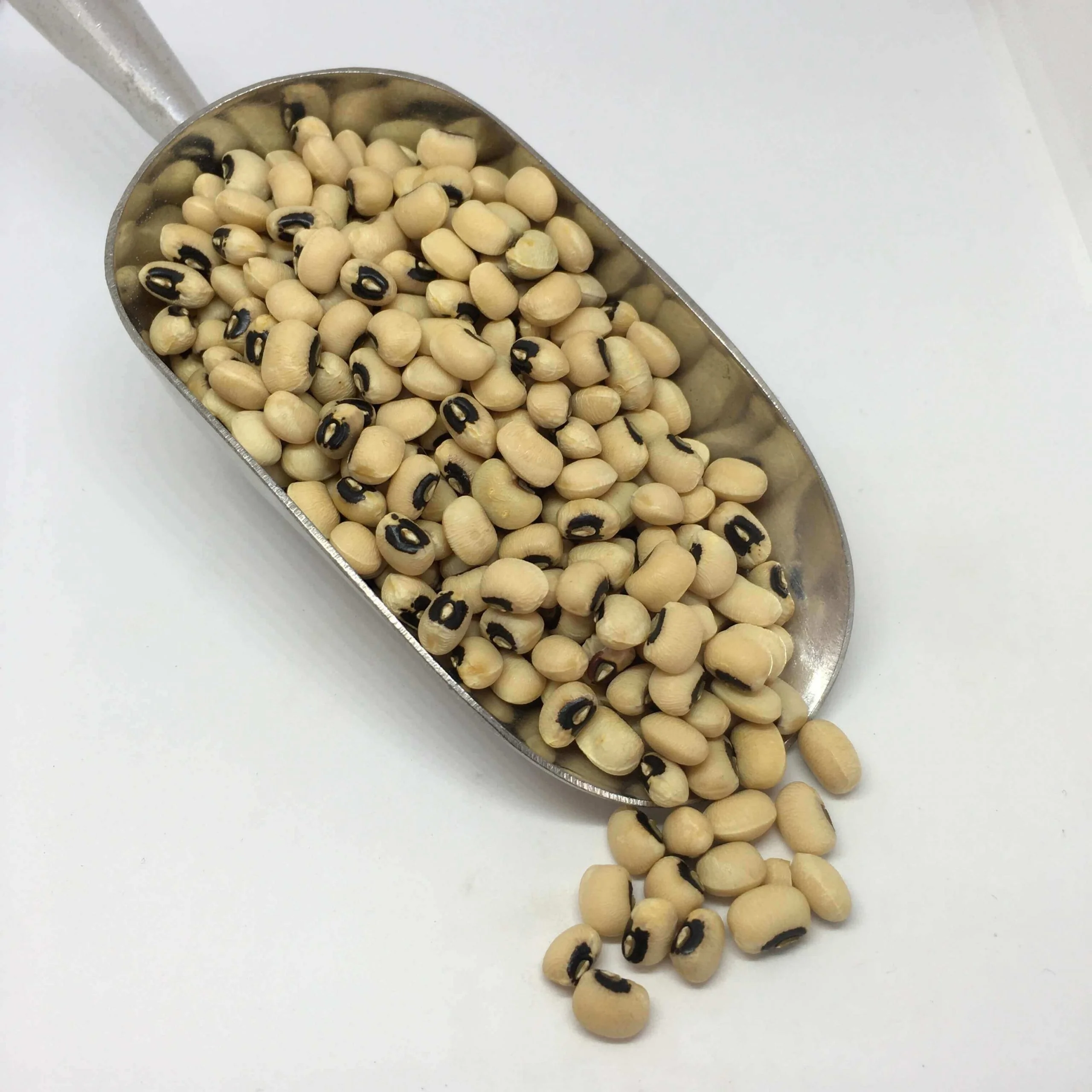 GRAIN Organic Good quality brown/black eye beans
