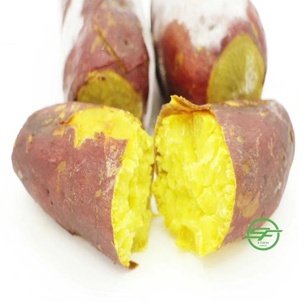 High quality whole frozen sweet potato from Vietnam