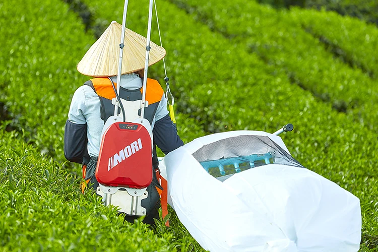Tea plucking machine | Tea harvesting machine | One-man operated electric tea cutting machine