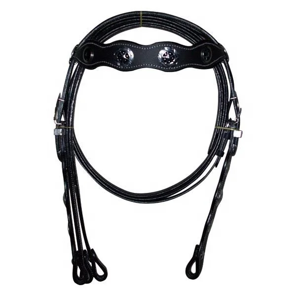 Western Headstall Bridle.