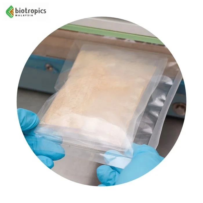 New Premium Standardized Ingredient Eurycoma Longifolia (Tongkat Ali) Roots Extract Harvested & Processed in Malaysia