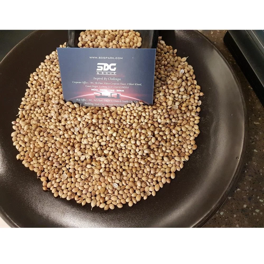 New Crop Dry Eagle Coriander Top Quality Coriander Best Supplier And Exporter From India with offer price