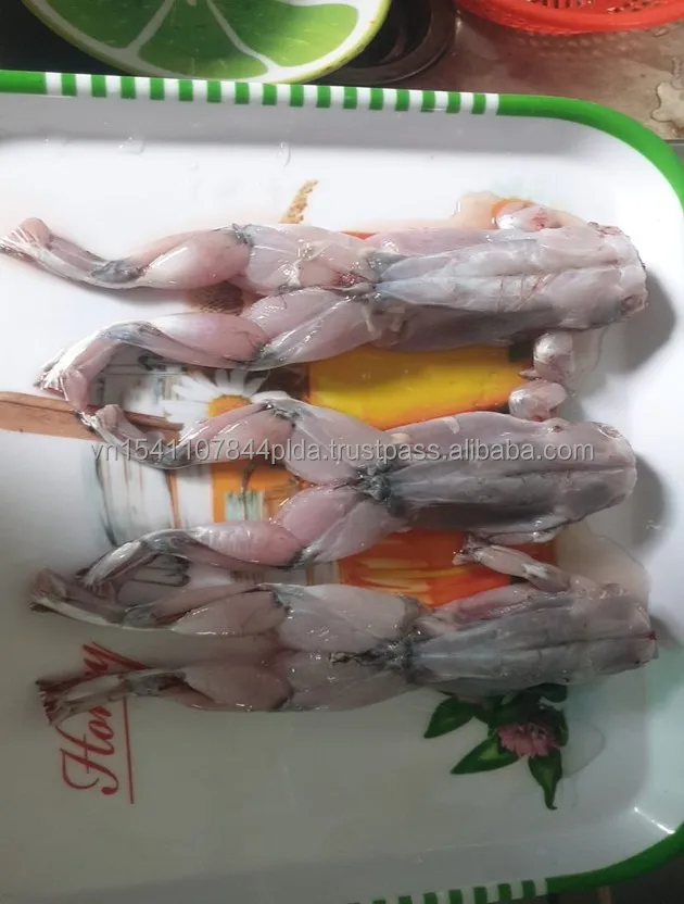 Поднятые органические ножки лягушки с йогой стиль осанки