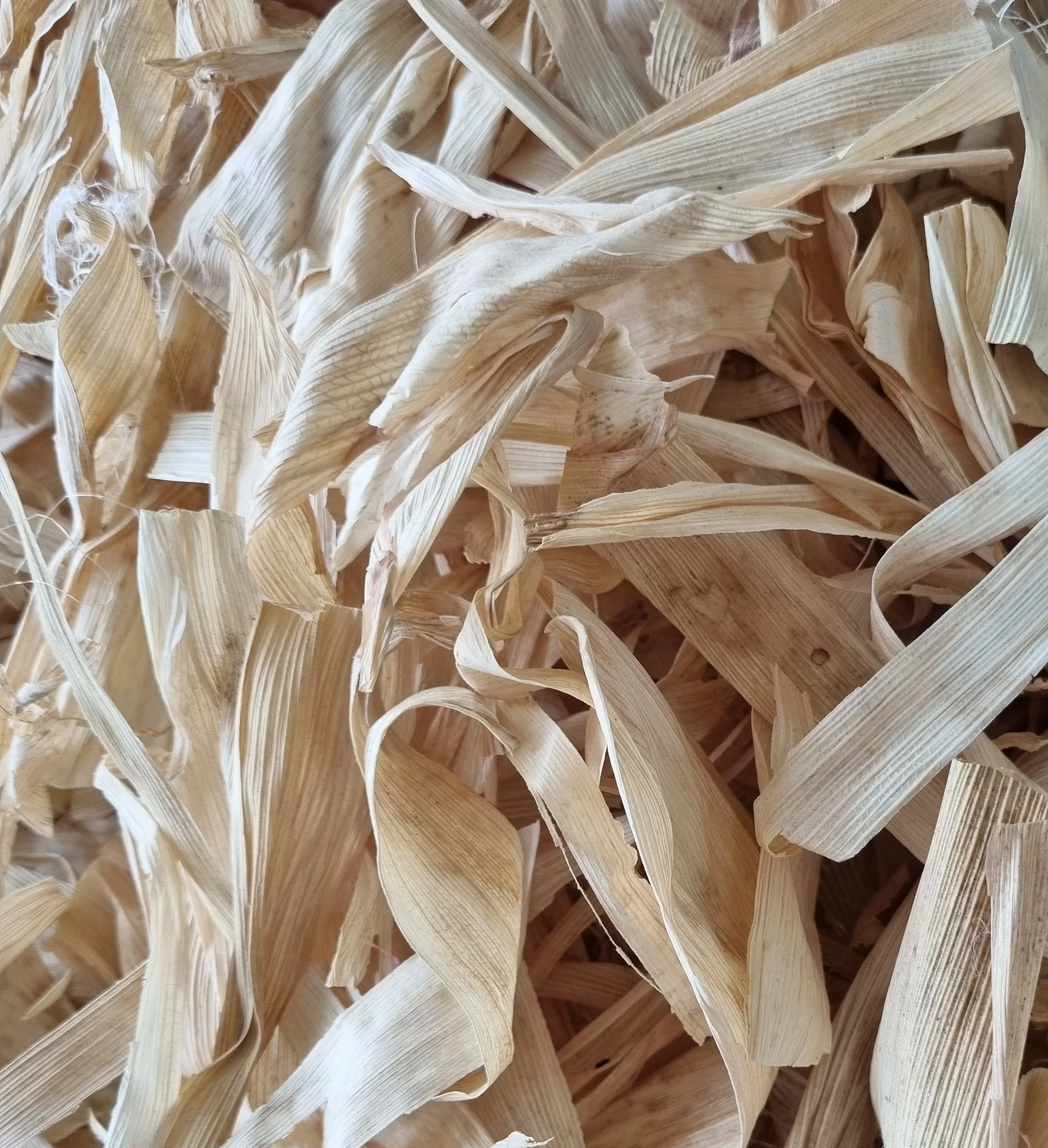 Organic Corn Husk for Filters..jpg